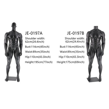 Jelimate Luxury Window Adult Male Mannequin Full Body,Muscle Sport Mannequin Torso With/Without Head,Clothing Dress Form Athletic Mannequin Fitness Model