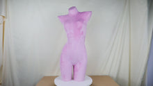 Load and play video in Gallery viewer, Jelimate Clothing Store Underwear Mannequin Torso Female,Pink Red Velvet Mannequin Bust Hip Body Form,Pant Trouser Bikini Bra Lingerie Dress Form
