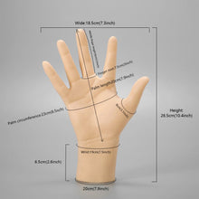 Load image into Gallery viewer, 3pcs Lifelike Movable Male Right Hand Mannequin Hand Watch Wallet Ring Nail Art Jewelry Store Display Hand Men Plastic False Hand
