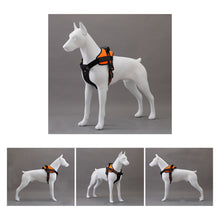 Load image into Gallery viewer, white standing detachable doberman dog mannequin pet dog model store home decor dog ornament for sale fashion animal display statue

