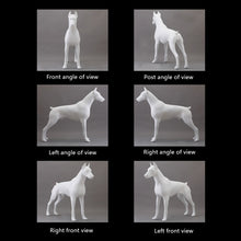 Load image into Gallery viewer, white standing detachable doberman dog mannequin pet dog model store home decor dog ornament for sale fashion animal display statue
